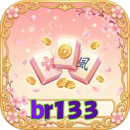 br133